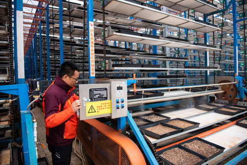 圖文互動 保姆式服務 智能化工廠 連片化土地 水稻大省湖南春耕一線觀察